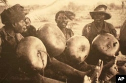 Drummers in Nyasaland, now Malawi, in the mid 1930s, recorded and photographed by Hugh Tracey