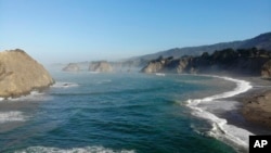 This Sept. 26, 2019 photo shows coastal waters off Greenwood State Beach where The Nature Conservancy is mapping and monitoring one of Mendocino County's last remaining bull kelp forests near Elk, Calif. (AP Photo/Terry Chea)