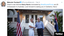 澳大利亚总理发推文欢迎哈里斯被任命驻澳大使