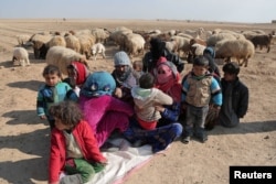 FILE - Internally displaced Syrians who fled Raqqa city rest near sheep in northern Raqqa province, Syria, Feb. 6, 2017.