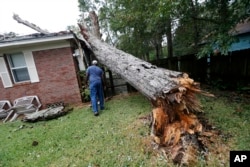 Lawrence Carriere checks on the home of his neighbor after a tree fell on it and crashed through the roof, in Biloxi, Miss., in the aftermath of Hurricane Nate, Oct. 8, 2017.