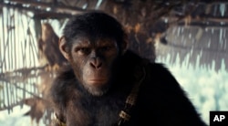 Gambar yang dirilis oleh 20th Century Studios ini menunjukkan tokoh Noa, yang diperankan oleh Owen Teague, dalam sebuah adegan dari "Kingdom of the Planet of the Apes." (dok: 20th Century Studios via AP)
