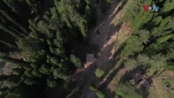 کشمیر کی ریبٹ گرلز