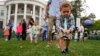 White House Readies for Annual Easter Egg Roll Monday