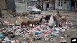 ملگرو ملتونو په یمن کې د لوږې او مړینو خبرداری ورکړی