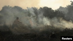 Warga berusaha memadamkan api yang membakar lahan gambut di hutan di Pekanbaru, Riau. (Foto: Dok)