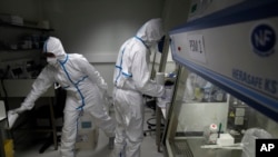 科学家们正在利用有关新冠病毒的遗传信息开发一种疫苗和治疗方法。（2020年2月6日）