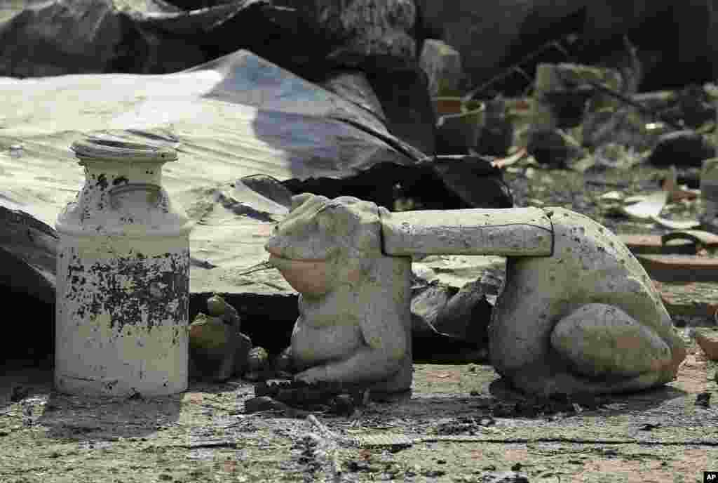 Members of the media touch a moving model of a Tyrannosaurus, during a media preview of the Dinoa Live Exhibition / Amazing Dinosaur Art Exhibition in the Shinjuku district of Tokyo.