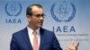 코넬 페루타 국제원자력기구(IAEA) 사무총장 대행이 9일 IAEA 이사회를 마친 후 기자회견을 했다.