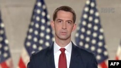 톰 코튼 공화당 상원의원이 지난 8월 공화당 전당대회에서 도널드 트럼프 대통령 지지연설을 했다.