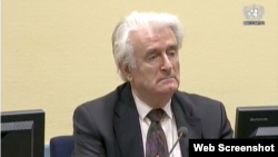 Radovan Karadžić za vrijeme statusne konferencije, 10. oktobar 2017.