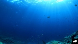 Millions of years of history, which can be found on the ocean floor, are collected and analyzed at the Core Repository in New York.