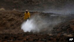 A Big Island firefighter puts out a blaze near Waimea, Hawaii, on Thursday, Aug. 5, 2021. The area was scorched by the state's largest ever wildfire. (AP Photo/Caleb Jones)