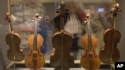 In the 1930s, Gertrude Clarke Whittall donated five stringed instruments, made by famed Cremonese master craftsman Antonio Stradivari, to the Library of Congress.