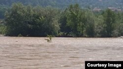 Migranti pokušali čamcem preko Drine ući u BiH