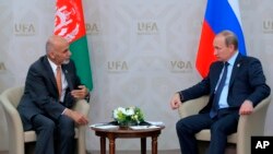 پوتین بار ها از گسترش نفوذ تندروان در نزدیک مرز کشور های آسیای میانه اظهار نگرانی کرده است