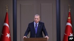 Turkish President Recep Tayyip Erdogan speaks to reporters before a visit to the United States, in Ankara, Turkey, Tuesday, Nov. 12, 2019.