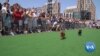 Dozens Of DC Dachshunds Race to Win Fastest Wiener Dog Title