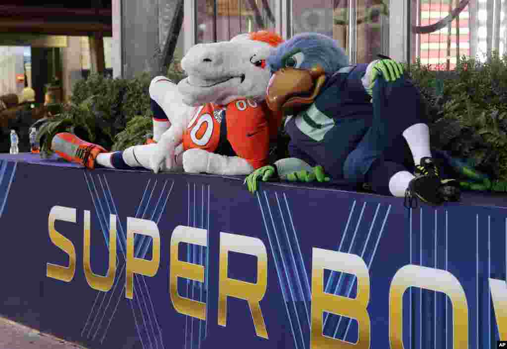 Blitz, right, the Seattle Seahawks mascot, is sits with Miles, left, the Denver Broncos mascot, Jan. 31, 2014, on top of a Super Bowl sign during a live TV broadcast in Times Square in New York. 