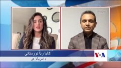 نادري: د سولې مذاکراتو پیلیدو لپاره طالبان باید بهانې و نه کړي