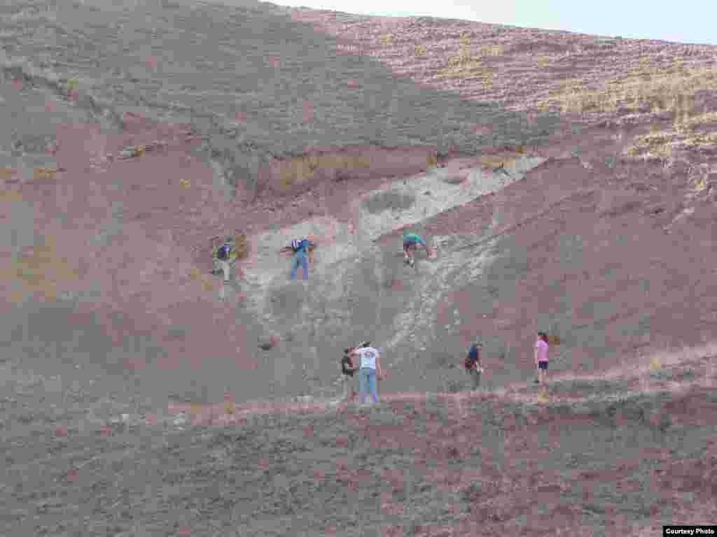 California Institute of Technology geobiology class on a field trip to a paleo-methane seep outcrop in Panoche Hills, California.&nbsp; These ancient seep carbonates are Cretaceous-aged (~100-66 million years ago),&nbsp; extend nearly 20 kilometers and are approximately 200 meters thick in some areas. (V. Orphan) 