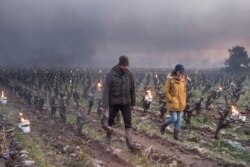 Winegrowers Pierre-Marie, left, and Marie Luneau check vines during the burning of anti-frost candles in the Luneau-Papin wine vineyard in Le Landreau, near Nantes, western France, on April 12, 2021.