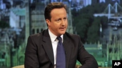 Britain's Prime Minister, David Cameron, speaks on the BBC's Andrew Marr Show, in London May 1, 2011