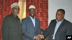 United Nations Special Representative for Somalia Augustine P. Mahiga (R) meets with Somalia parliament speaker, Sharif Hassan Sheik Adan (L) and president Sheik Sharif Sheik Ahmed (C) at Mogadishu's presidential palace in Mogadishu, Somalia, October 2010