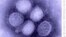 FILE - An image of H1N1 influenza virus from the U.S. Centers for Disease Control and Prevention.