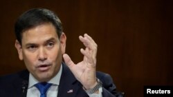 마르코 루비오 미국 공화당 상원의원.