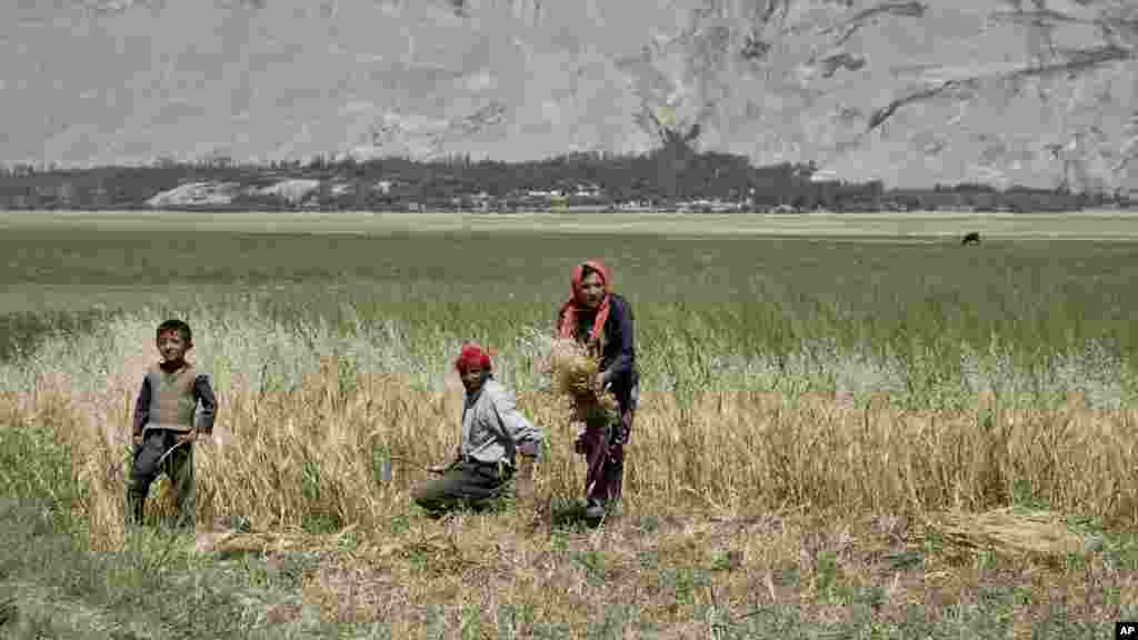 به دلیل کوهستانی بودن واخان، زمین زراعتی در این ولسوالی بسیار اندک است