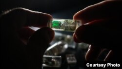MIT engineers have designed an ingestible sensor with bacteria programmed to sense environmental conditions and relay the information to an electronic circuit. (Photo courtesy of Lillie Paquette, MIT)