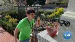 COVID - US Food Delivery WEB