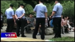 焦点对话：P2P投资者受害，怪政府还是怪自己？