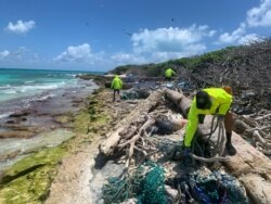 FILE - In this April 13, 2021, photo provided by Kevin O'Brien, workers with the Papahanaumokuakea Marine Debris Project remove fishing nets and plastic from the shoreline of Lisianski Island in the Northwestern Hawaiian Islands.