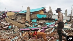 Seorang polisi bersama anjing pelacak mencari korban di reruntuhan bangunan yang hancur akibat gempa hebat di Mamuju, Sulawesi Barat, Minggu, 17 Januari 2021. 