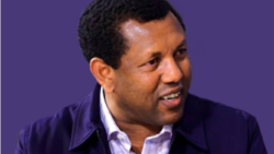 የአቶ ልደቱ አያሌው ከእሥር በዋስ የመፈታት ጉዳይ