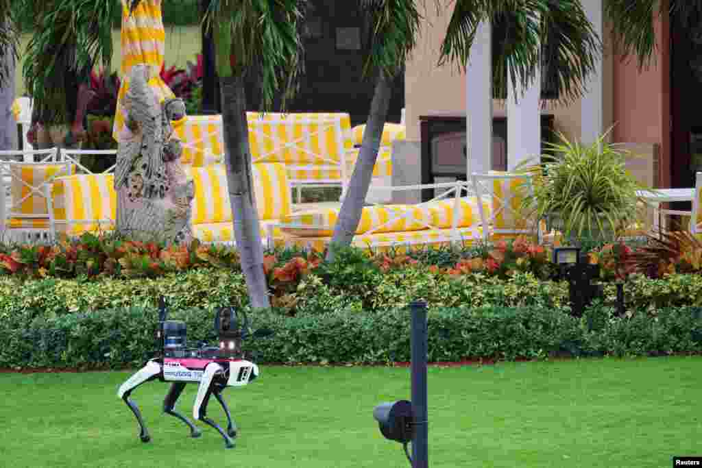 A Secret Service robot dog patrols the grounds of U.S. President-elect Donald Trump&#39;s residence at Mar-a-Lago in Palm Beach, Florida.