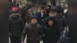 Fighters Not the Only Foreigners Seeking IS