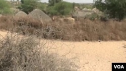 Pokistonning Tarparkar rayoni