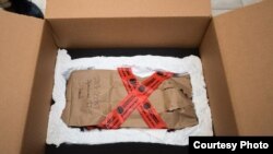 The packaged mummy's hand arrived at Los Angeles International Airport in 2013 was listed as a sci-fi movie prop worth $66. Courtesy: U.S. Immigrations and Customs Enforcement.