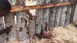 François Dominique Delafosse joint par Idriss Fall