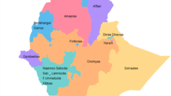 ‘Walitti Bu’iinsa Mooyyaleetti ta’een Lubbuun nama 3 darbee, 40 ol ka ta’animmoo madaa’aniiru’ Hospitaala Mooyyalee