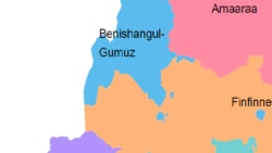 Godiina Matakkal Keessatti Tarkaanfiin Fudhatamuun Ibsame