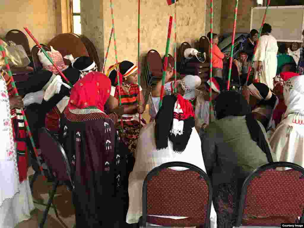  Turtii Dr. Abiyyi - Ameerikaatti