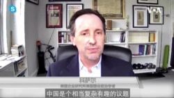 美国企业研究所国会政治学者科萨尔