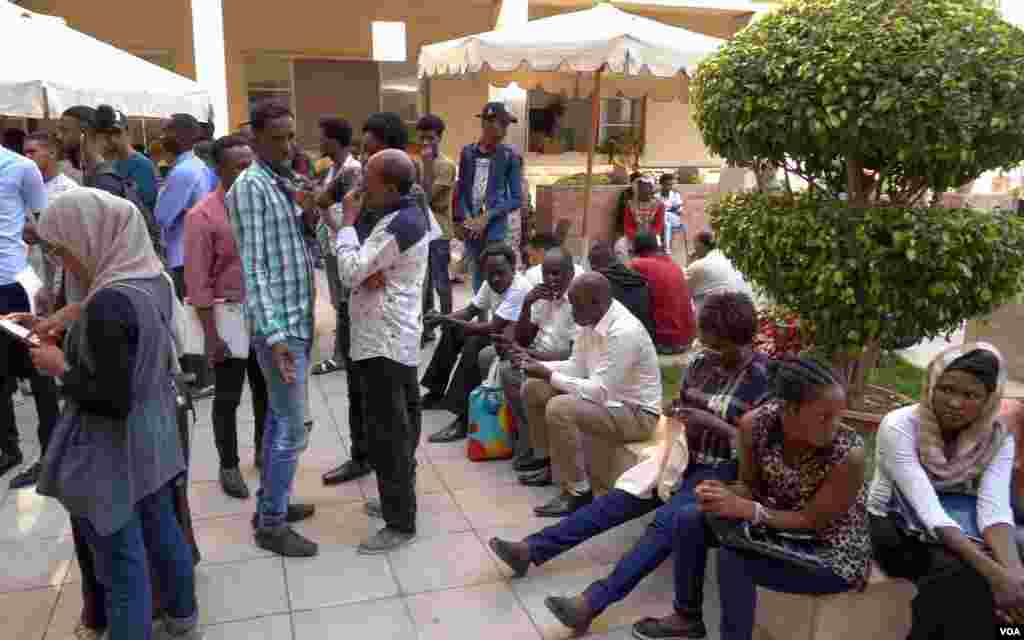 African refugees waiting at Refugee Egypt, a cooperative organization with the U.N., during a job offering event in Zamalek, Cairo. (H. Elrasam/VOA)