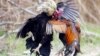Cambodian Social Media Erupts Over Killing of Dozens of Fighting Cocks