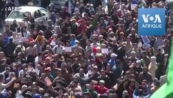 Les étudiants algériens dans la rue contre les législatives anticipées