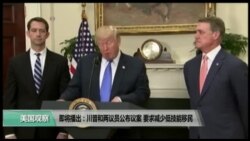 美国观察 2017年8月3日